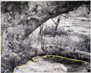 Fracture 5