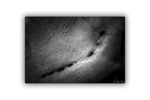 michel-coste_1-écorce10-70x50