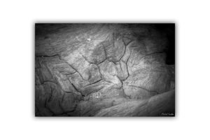 michel-coste_1-écorce9-70x50